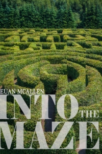 Omslagafbeelding: Into The Maze 1st edition 9781849891325