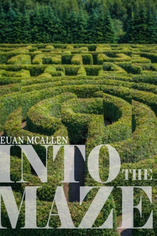 Immagine di copertina: Into The Maze 1st edition 9781785387463