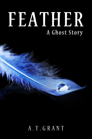 Cover image: Feather 1st edition 9781785387821