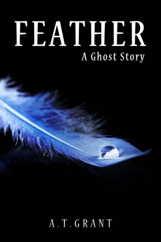 Cover image: Feather 1st edition 9781785387838