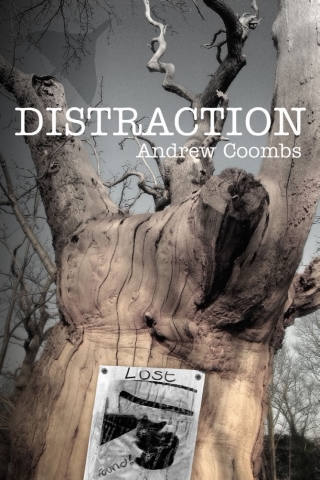 Cover image: Distraction 1st edition 9781785388255