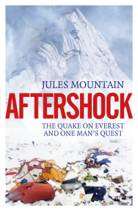 Cover image: Aftershock 1st edition 9781785635014