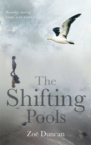 Cover image: The Shifting Pools 1st edition 9781785630361