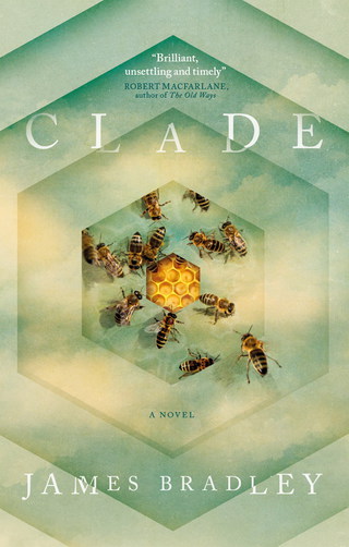 Cover image: Clade 9781785654145