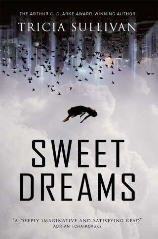 Cover image: Sweet Dreams 9781785658006