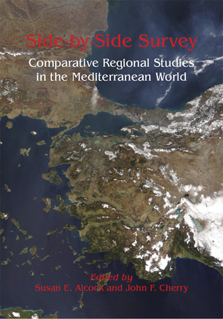 Cover image: Side-by-Side Survey 9781842170960