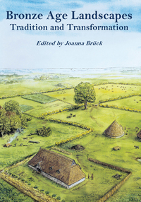 Cover image: Bronze Age Landscapes 9781842170625