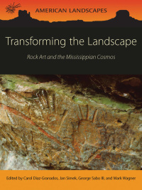 Cover image: Transforming the Landscape 9781785706288