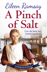 Cover image: A Pinch of Salt 9781785762246