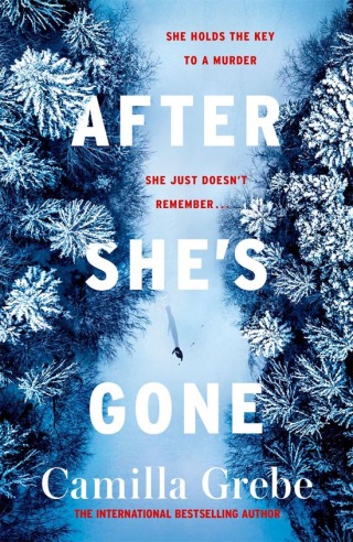 Titelbild: After She's Gone 9781785769221