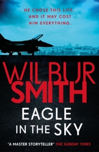 Imagen de portada: Eagle in the Sky 9781785766213