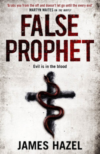 Immagine di copertina: False Prophet 9781838770501