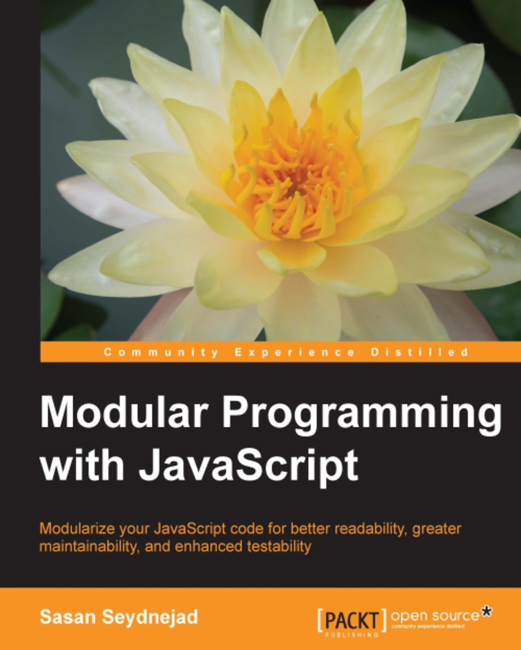 Modular Programming with JavaScript - 1st Edition (eBook)