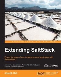 Imagen de portada: Extending SaltStack 1st edition 9781785888618