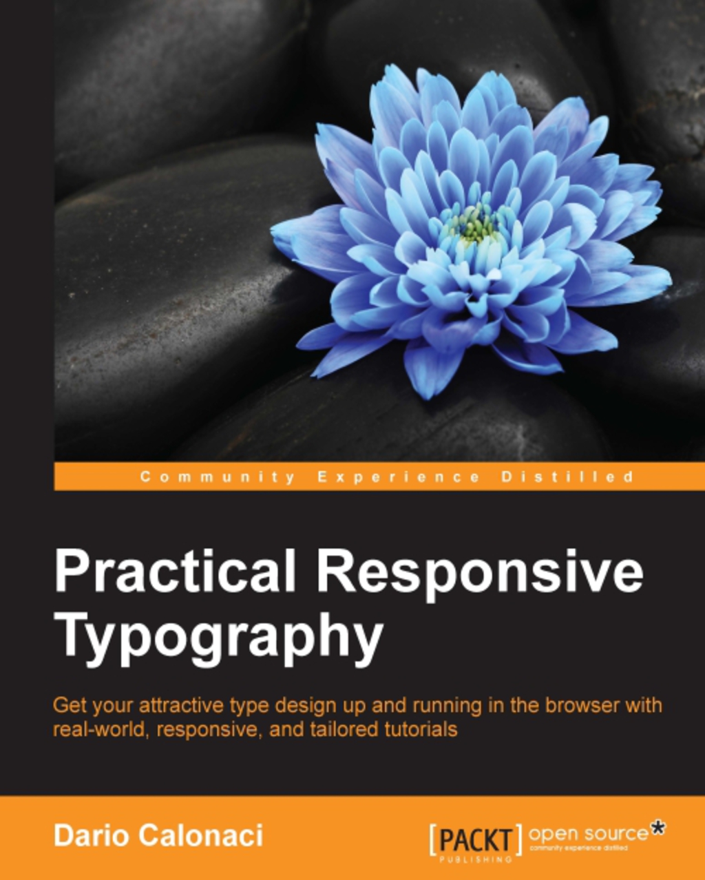 Practical Responsive Typography 1st Edition