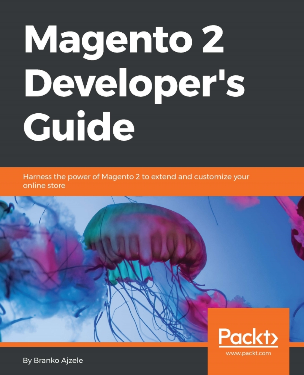 Magento 2 Developer’s Guide Harness the power of Magento 2 to extend and customize your online store 1st Edition