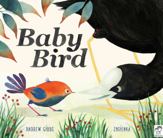 Cover image: Baby Bird 9781786030122