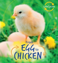 Omslagafbeelding: Lifecycles: Egg to Chicken 9781786036179