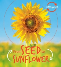 Omslagafbeelding: Lifecycles: Seed to Sunflower 9781786036209