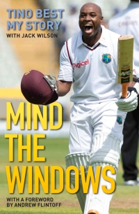 Cover image: Mind the Windows 1st edition 9781786060341
