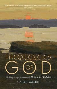 صورة الغلاف: Frequencies of God 9781786220882