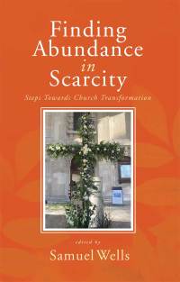 Cover image: Finding Abundance in Scarcity 9781786223692