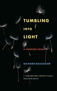 Cover image: Tumbling Into Light 9781786224361