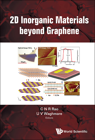 Cover image: 2D Inorganic Materials beyond Graphene 9781786342690