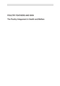 صورة الغلاف: Poultry Feathers and Skin 1st edition 9781786395115
