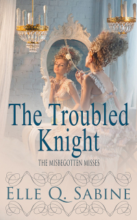 Cover image: The Troubled Knight 9781786510242
