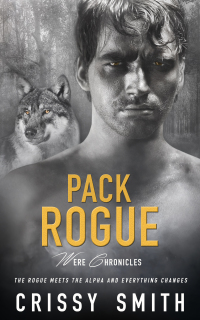 Cover image: Pack Rogue 9781786510976