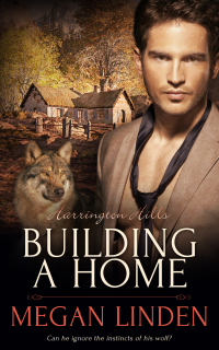 Cover image: Building a Home 9781786514660