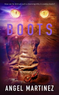 Cover image: Boots 9781786514967