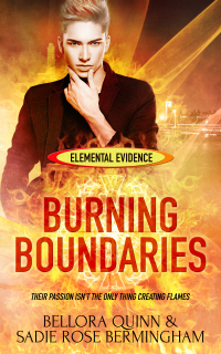 Cover image: Burning Boundaries 9781786515599