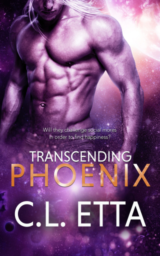 Cover image: Transcending Phoenix 9781786516237