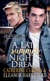 Cover image: A Late Summer Night's Dream 9781786517067