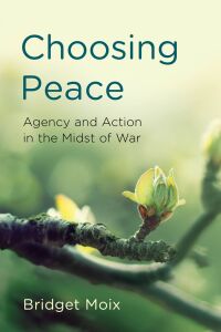 Cover image: Choosing Peace 1st edition 9781786609779