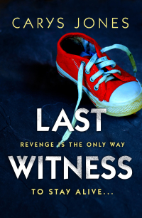 Imagen de portada: Last Witness 1st edition