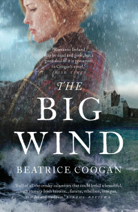 Cover image: The Big Wind 1st edition 9781786695543