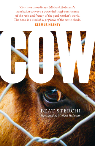 Imagen de portada: Cow 1st edition 9781786697479