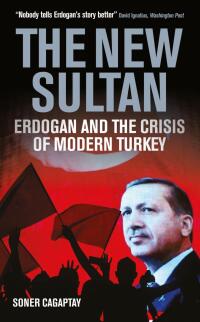Cover image: The New Sultan 1st edition 9781784538262