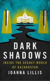 Cover image: Dark Shadows 1st edition 9781784538613