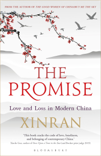 Imagen de portada: The Promise 1st edition 9781448217892