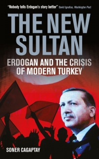 Cover image: The New Sultan 1st edition 9781784538262