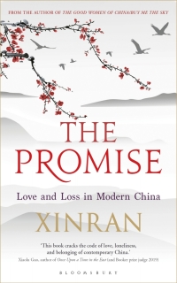 Cover image: The Promise 1st edition 9781448217892
