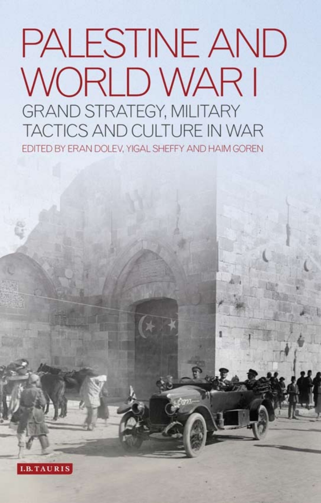 Palestine and World War I Grand Strategy, Military Tactics and Culture in War 1st Edition