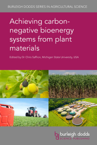Imagen de portada: Achieving carbon-negative bioenergy systems from plant materials 1st edition 9781786762528