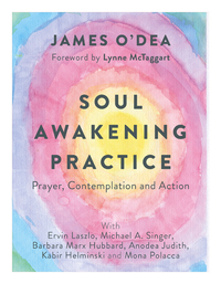 Cover image: Soul Awakening Practice 9781786780522