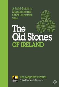 Cover image: The Old Stones of Ireland 9781786781543