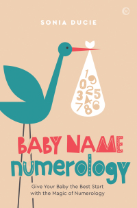 Cover image: Choose the Perfect Baby Name 9781786783325